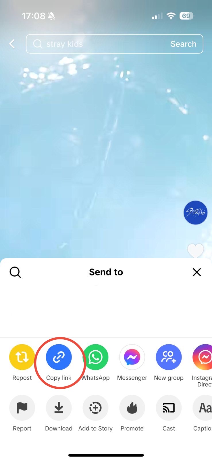 TikTok Video Sharing