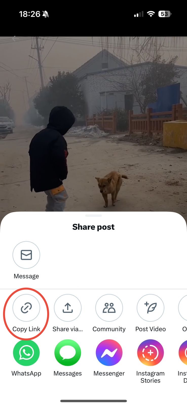 X (Twitter) Post Sharing